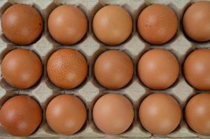 Raw organic chicken eggs photo