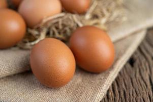 Raw eggs on hemp and straw photo