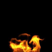 Fire on a black background photo