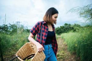 Young farmer harvesting fresh asparagus photo