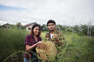 Young farmer couple harvesting fresh asparagus photo