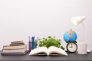 Books on the desk photo