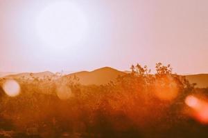 árboles marrones y montañas durante la puesta de sol foto