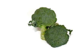 Head of broccoli photo
