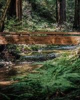 Brown wooden bridge over river photo