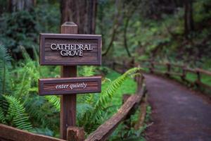 Brown wooden signage on brown wooden fence photo