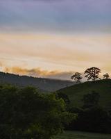 Green trees on mountain under white clouds during daytime photo