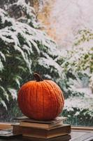 Orange pumpkin on black and white surface photo