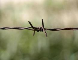 Sharp barbed wire photo