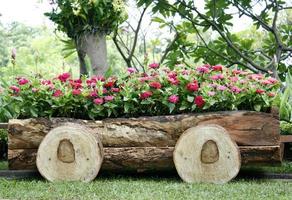 Pink flowers in a wooden wagon photo