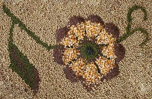 Flower decoration made of seeds photo