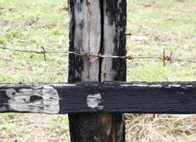 Cerca de alambre de espina sobre postes de madera foto