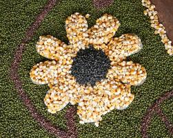 multi grain, corn, seed on flower shape photo