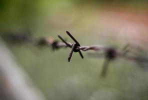 Close-up of barbed wire photo