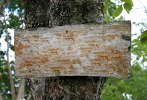 Cartel de madera rústica en blanco en el árbol foto