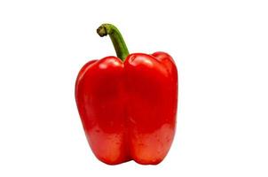 Red bell pepper photo