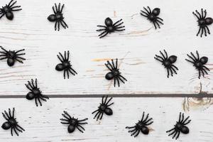 Plastic spiders toys on a wooden background. photo