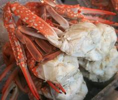 Steamed crab legs photo