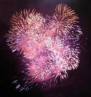 Pink and purple fireworks photo