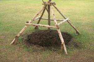 árbol de soporte de marco foto