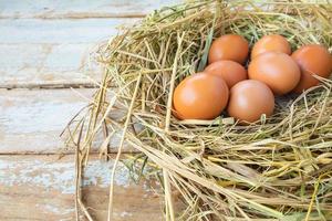 Eggs in hay photo