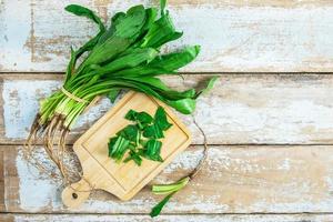 Culantro on cutting board photo