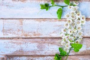 Wooden background with flowers photo