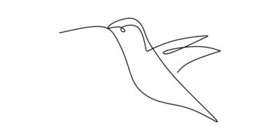 One continuous line drawing of cute hummingbird. Hand drawn line art tropical bird. vector