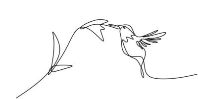 Continuous one line drawing of hummingbird minimalism drawing. Flying bird on flowers isolated on a white background.