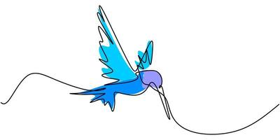 un dibujo de línea continua de lindo colibrí. dibujado a mano línea arte pájaro tropical. vector
