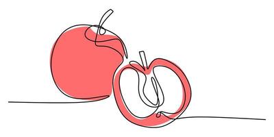 Continuous line drawing of apple fruit. vector