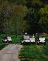 Carro de golf blanco en el campo de hierba verde durante el día foto