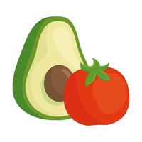 fresh avocado and tomato vegetables in white background vector