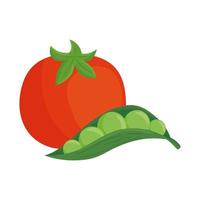 Tomate fresco con planta de guisantes de vaina en fondo blanco. vector