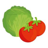 fresh healthy lettuce with tomato, on white background