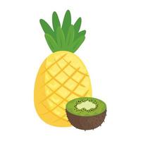 fresh fruits, kiwi and pineapple, in white background vector