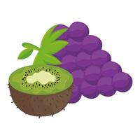 fresh fruits, grapes and kiwi, in white background vector