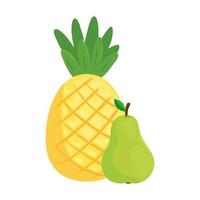 fresh fruits, pear and pineapple, in white background vector