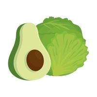 fresh healthy lettuce with fresh avocado, on white background vector