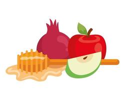 honey dipper stick with pomegranate and apples, on white background vector