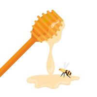 honey dipper stick with bee, on white background vector