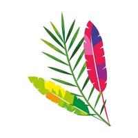 exotic feathers with tropical leafs isolated icon vector