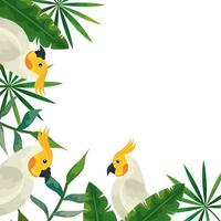 frame with parrots and tropical leafs vector