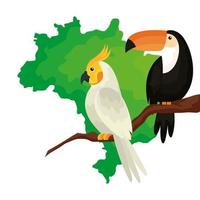 map of brazil with parrot and toucan isolated icon vector