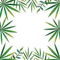 frame of tropical natural leafs isolated icon vector