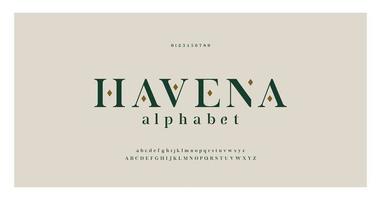 Elegant alphabet letters serif font and number vector