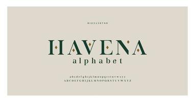 Elegant alphabet letters serif font and number vector