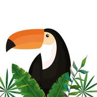 toucan with tropical leafs isolated icon vector