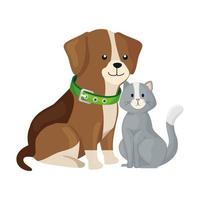 cute cat and dog animals isolated icon vector