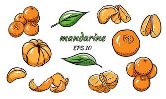 Set of vector illustrations of tangerines.